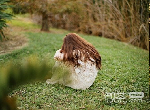 唯美伤感的森系微信高清图片 独自茕茕