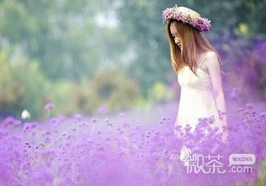 唯美花与美女微信高清图片 如花似玉