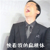 胡歌大笑版文字微信表情包 就像吃了炫迈