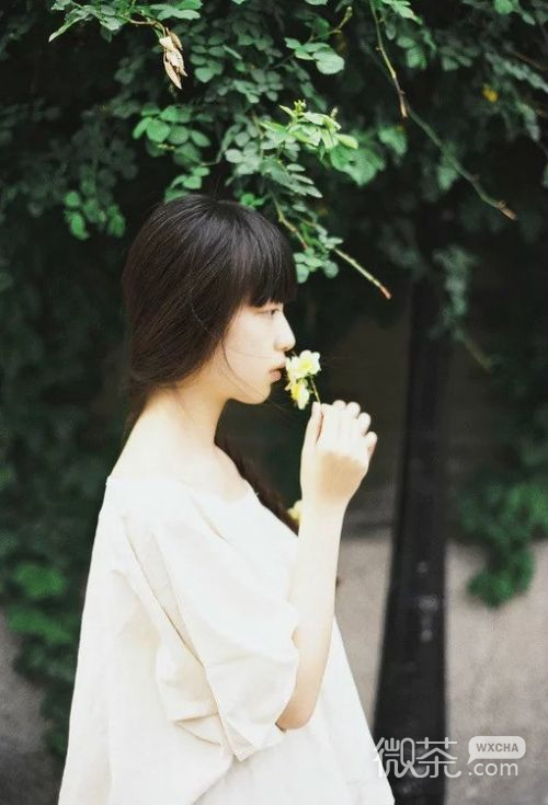 小清新森系气质型美女微信高清图片 有风潇潇而过卷了几许落叶