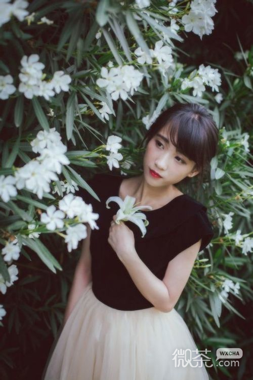 小清新森系气质型美女微信高清图片 有风潇潇而过卷了几许落叶
