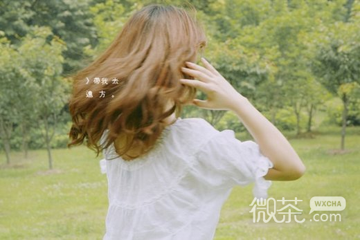 唯美美女背面微信高清图片