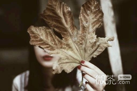 微信伤感高清图片 安安静静的过着