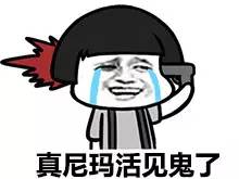 蘑菇头流泪微信表情包 我不做人了