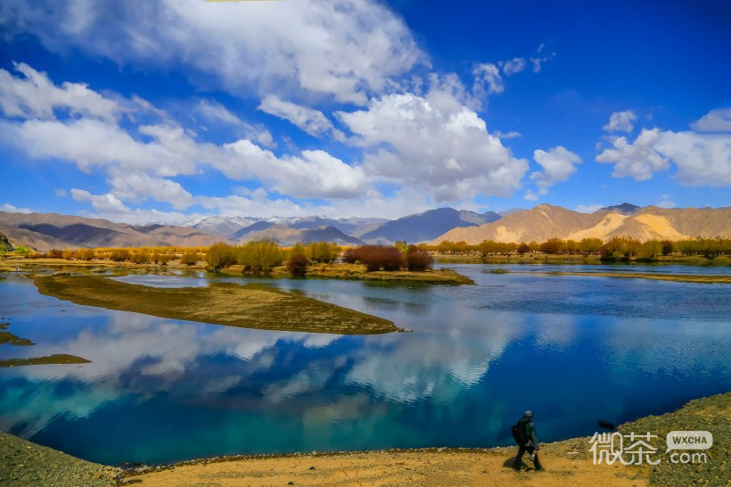 西藏林芝桃花沟风景微信高清图片 环境优美
