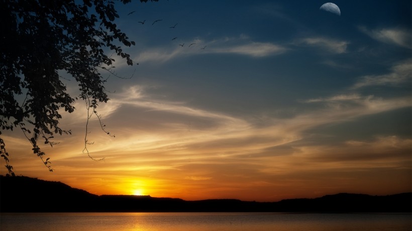 唯美阳光与树风景微信高清图片 意境美