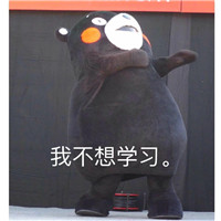 微信熊本熊表情包带字搞笑 我就是不学习