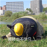 微信熊本熊表情包带字搞笑 我就是不学习