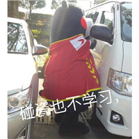 微信熊本熊表情包带字搞笑 我就是不学习