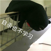 微信熊本熊表情包带字搞笑 我就是不学习