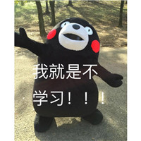 微信熊本熊表情包带字搞笑 我就是不学习