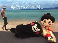 微信熊本熊表情包带字搞笑 我就是不学习