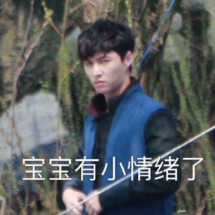 张艺兴微信表情包 咋地，不服啊！