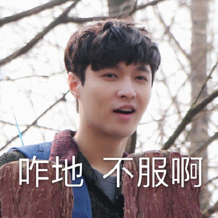 张艺兴微信表情包 咋地，不服啊！