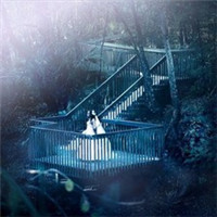 微信迷幻森林欧美头像冷艳霸气 恨得太深也不能让自己有伤痕