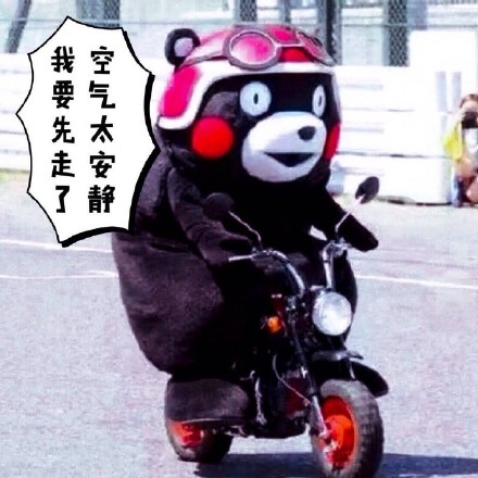 熊本熊微信表情包 你咋不上天呢？