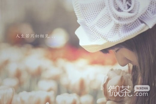 唯美伤感意境微信高清图片 惨恒于心