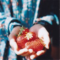 微信唯美手图头像