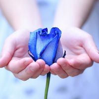 微信唯美手图头像