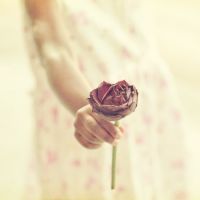 微信唯美手图头像