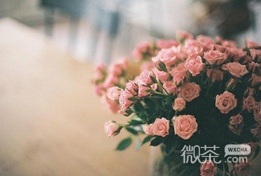 唯美欧美花意境微信图片