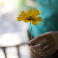 微信唯美手图头像