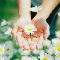 微信唯美手图头像