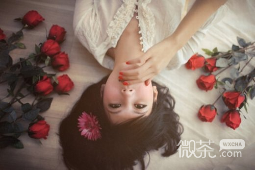 唯美欧美花意境微信图片