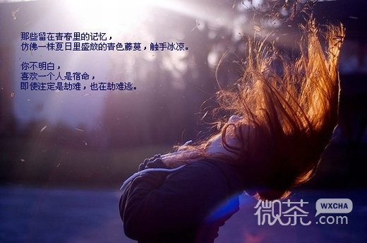 唯美伤感文字微信图片 没有永远的朋友