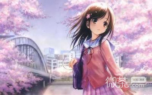 唯美动漫微信高清图片 二次元
