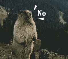 土拨鼠的呐喊带字微信表情包 来自土拨鼠的咆哮