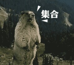 土拨鼠的呐喊带字微信表情包 来自土拨鼠的咆哮