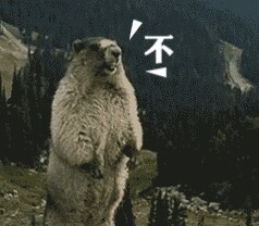 土拨鼠的呐喊带字微信表情包 来自土拨鼠的咆哮