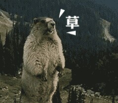 土拨鼠的呐喊带字微信表情包 来自土拨鼠的咆哮