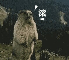 土拨鼠的呐喊带字微信表情包 来自土拨鼠的咆哮