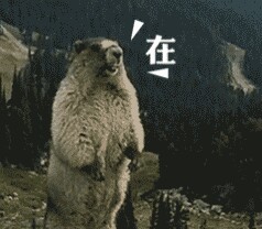 土拨鼠的呐喊带字微信表情包 来自土拨鼠的咆哮