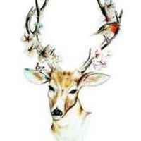 微信唯美麋鹿头像手绘精选 灼灼桃花十里