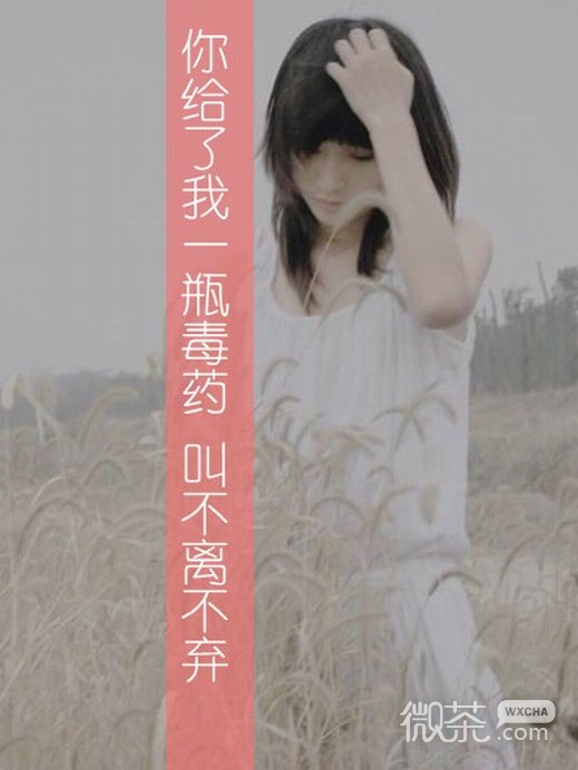 唯美清新文字微信高清图片