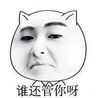 超经典的猥琐猫人脸微信表情包 哟哟哟还矫情上了！