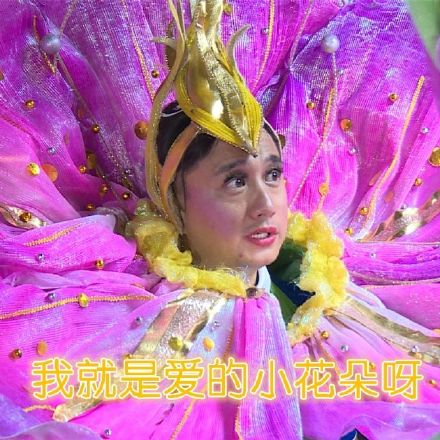 极限挑战男扮女装微信表情包 这就是命！