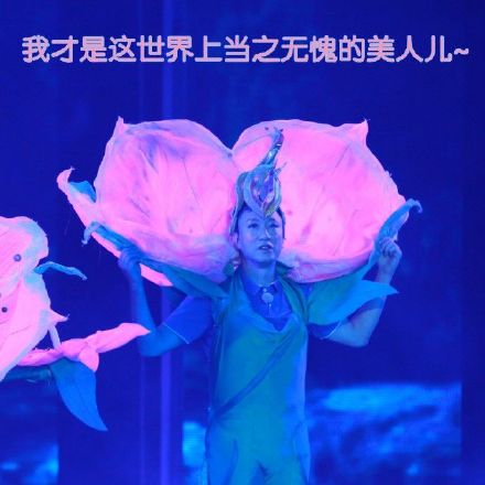 极限挑战男扮女装微信表情包 这就是命！