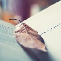 微信文艺范书头像