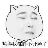 超经典的猥琐猫人脸微信表情包 哟哟哟还矫情上了！