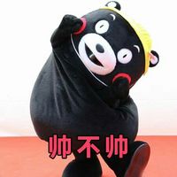 熊本熊卖萌带字微信表情包 相亲法则