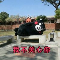 熊本熊卖萌带字微信表情包 相亲法则