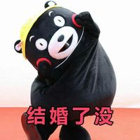 熊本熊卖萌带字微信表情包 相亲法则