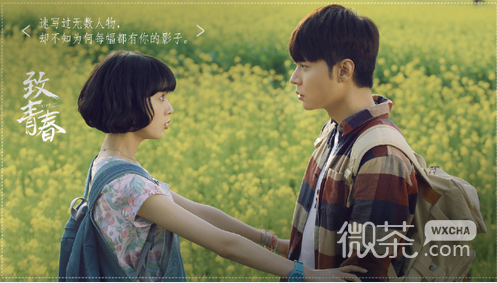 致青春电视剧微信高清图片 青春无悔