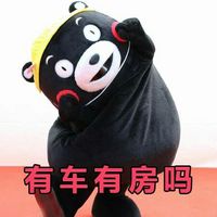 熊本熊卖萌带字微信表情包 相亲法则