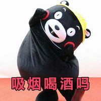 熊本熊卖萌带字微信表情包 相亲法则