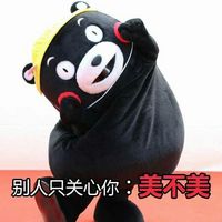 熊本熊卖萌带字微信表情包 相亲法则